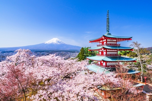 富士山のふもとで働く